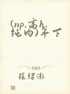 (np,高h,纯肉)年下