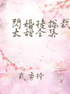 闪婚后总裁娇妻太甜全集