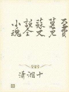 小说苏莫至尊武魂全文免费阅读