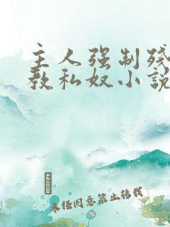 主人强制残忍调教私奴小说