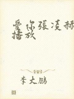 爱你张凌赫免费播放