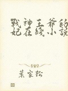 战神王爷的小医妃在线小说