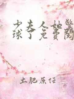 少夫人她惊艳全球了免费阅读全文