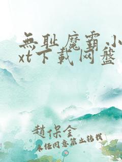 无耻魔霸小说txt下载网盘