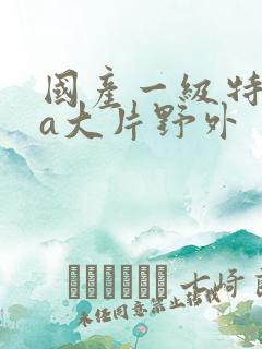 国产一级特黄aa大片野外