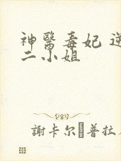 神医毒妃 逆天二小姐