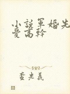 小说军婚先婚后爱高干