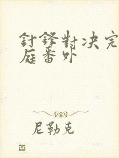 针锋对决完美家庭番外