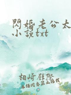 闪婚老公太凶猛小说txt