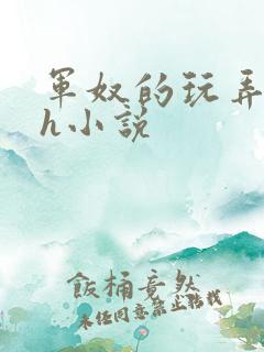 军奴的玩弄调教h小说