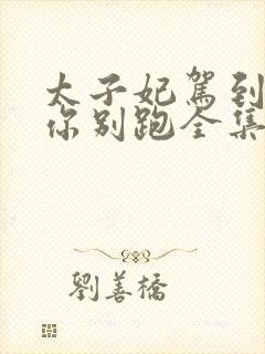 太子妃驾到总裁你别跑全集