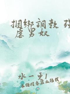 捆绑调教 强制 虐男奴