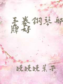 手卷钢琴哪个品牌好