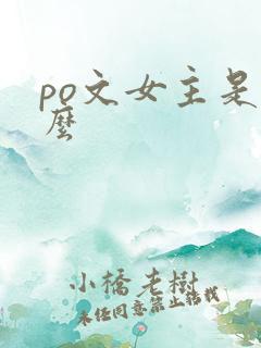 po文女主是什么