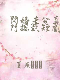 闪婚老公真是豪门总裁短剧免费观看