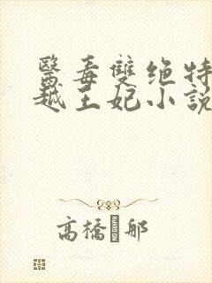 医毒双绝特工穿越王妃小说