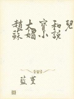 赵大宝和儿媳妇苏媚小说