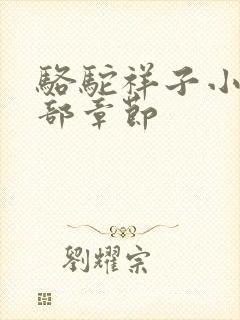 骆驼祥子小说全部章节