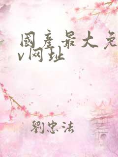 国产最大免费av网址