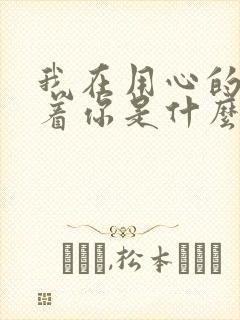 我在用心的来爱着你是什么歌的歌词