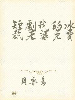 短剧我的冰山总裁老婆免费观看