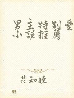 男主特别爱女主小说推荐