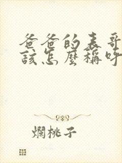 爸爸的表哥我应该怎么称呼