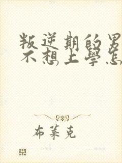 叛逆期的男孩子不想上学怎么办