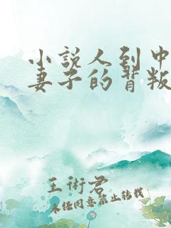 小说人到中年:妻子的背叛免费阅读全文