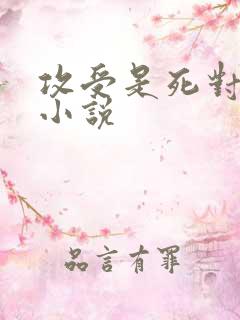 攻受是死对头的小说