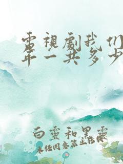 电视剧我们这十年一共多少集