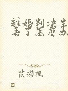 离婚判决生效书丢了怎么办