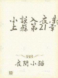 小说入夜,对她上瘾第21章