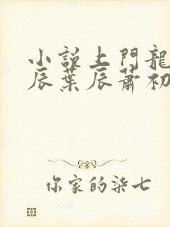 小说上门龙婿叶辰叶辰萧初然