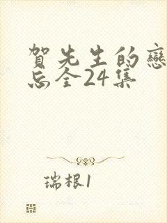 贺先生的恋恋不忘全24集