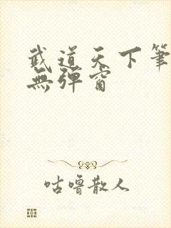 武道天下笔趣阁无弹窗