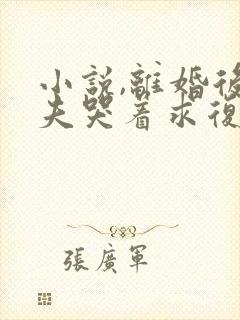 小说,离婚后前夫哭着求复婚