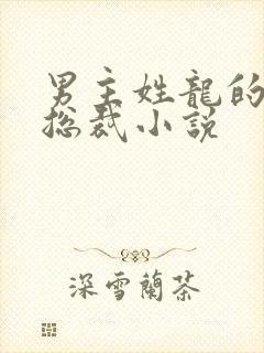 男主姓龙的霸道总裁小说