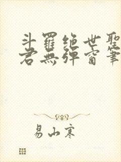 斗罗绝世圣邪帝君无弹窗笔趣阁