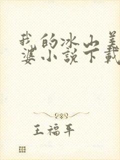 我的冰山美女老婆小说下载
