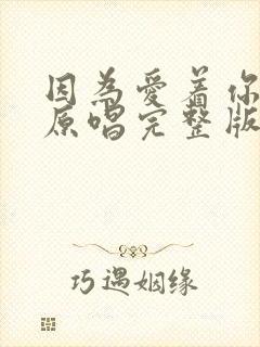 因为爱着你的爱原唱完整版