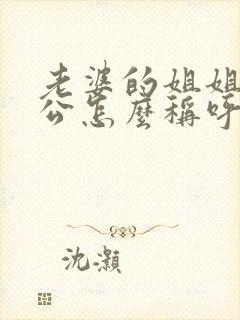 老婆的姐姐的老公怎么称呼