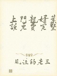 上门龙婿叶辰小说免费完整版