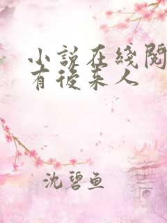 小说在线阅读还有后来人