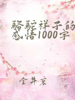 骆驼祥子的读后感悟1000字