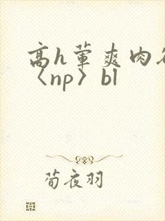 高h荤爽肉欲文〈np〉bl