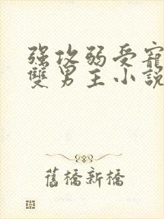 强攻弱受宠溺的双男主小说