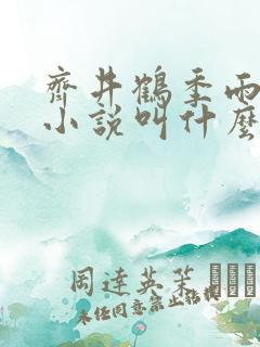 齐井鹤季雨原著小说叫什么