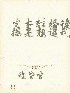 完本离婚后前夫总是想追我