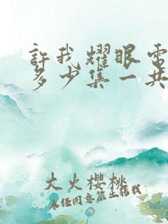 许我耀眼电视剧多少集一共几集